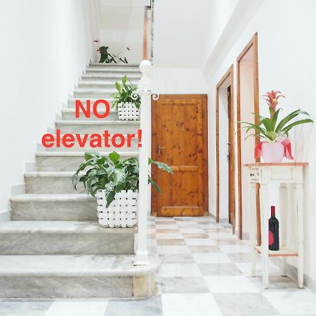 Eco Pisa Tower Guesthouse Buitenkant foto