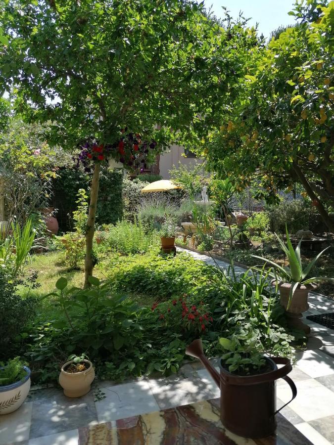 Eco Pisa Tower Guesthouse Buitenkant foto