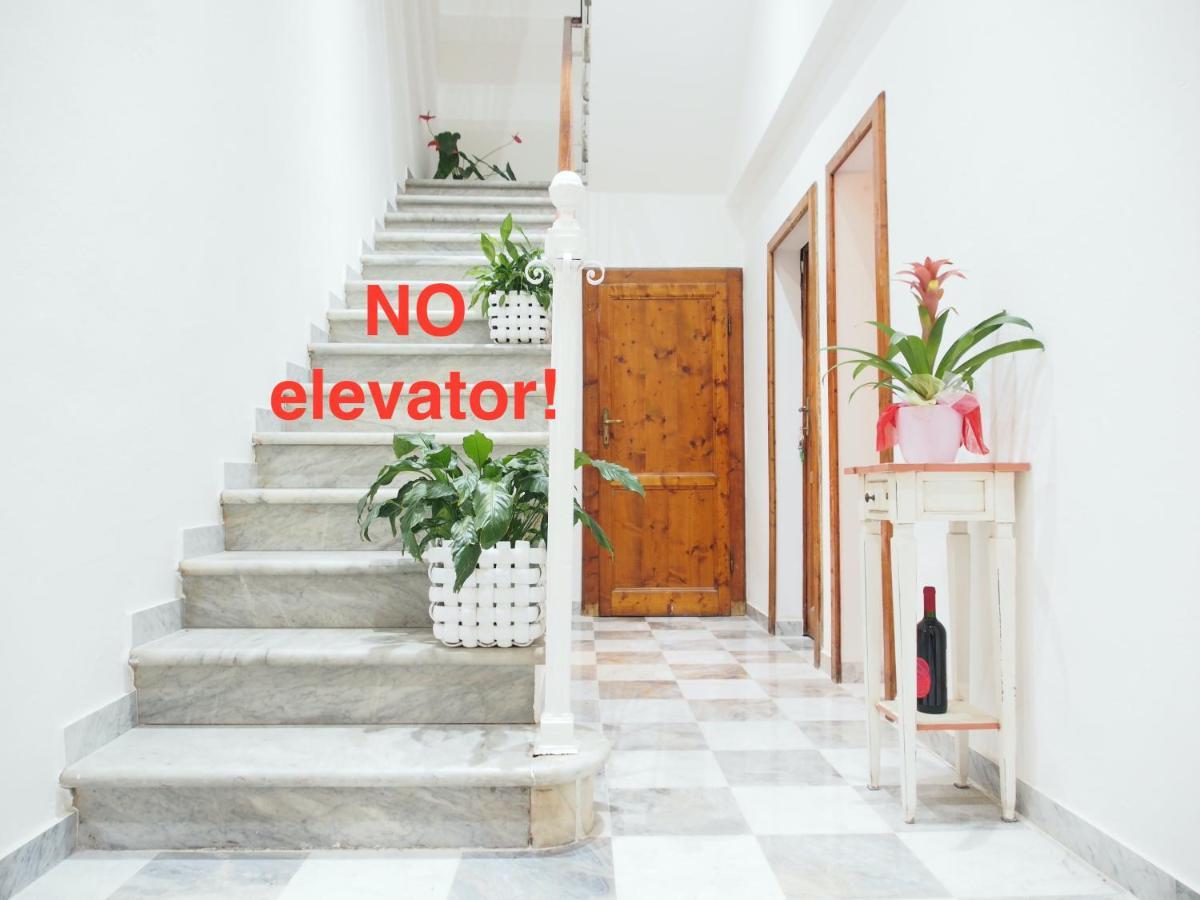 Eco Pisa Tower Guesthouse Buitenkant foto